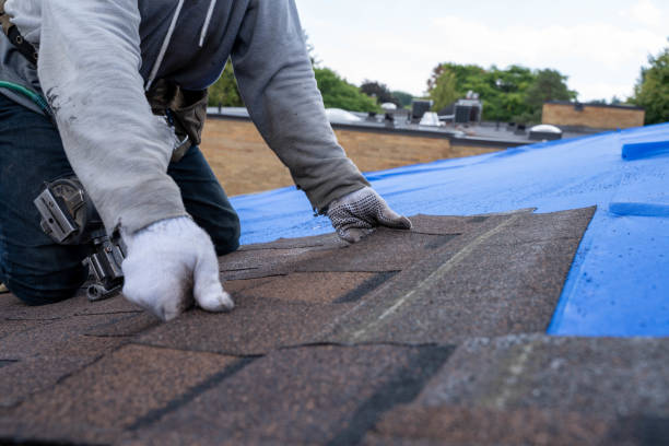 Best Metal Roofing Contractor  in Kilmarnock, VA